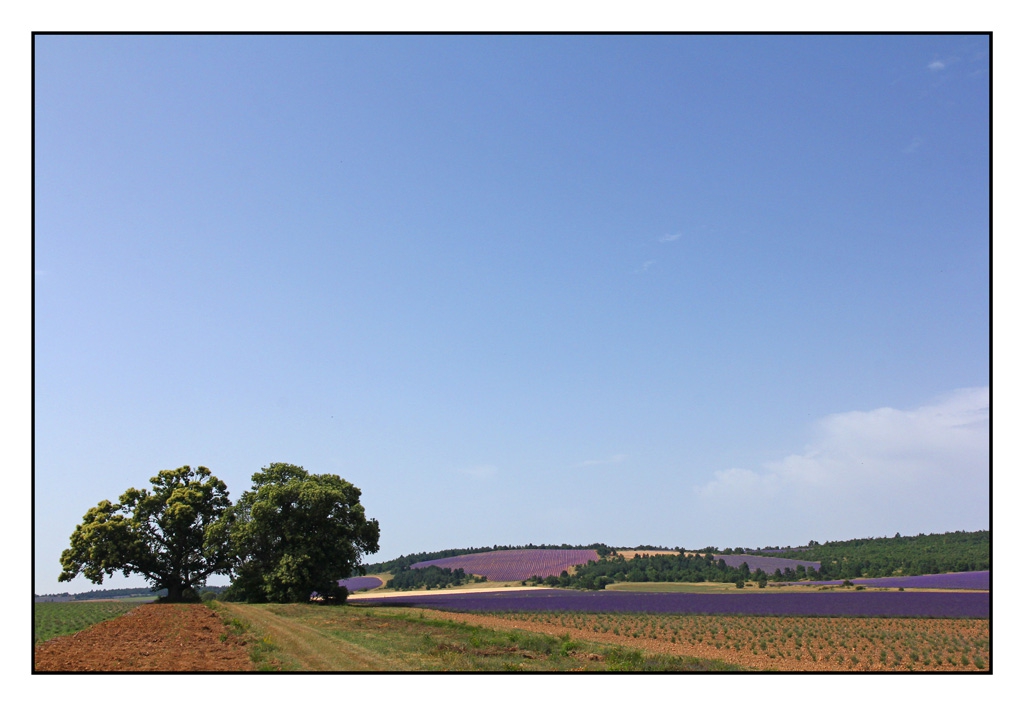 Lumieres de Provence